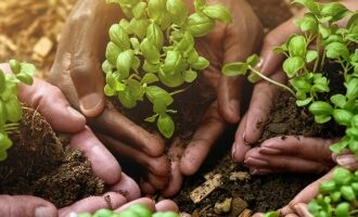 Growing Through Cultural Humility in Eating Disorder Care