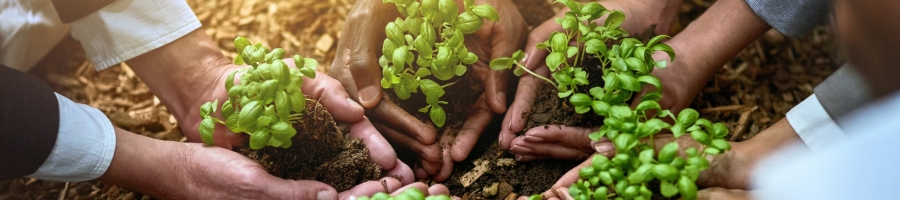 Growing Through Cultural Humility in Eating Disorder Care